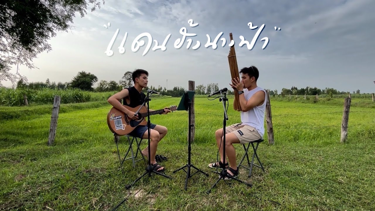 แคนฮ้างนางฟ้า - กู่แคน | BEST BOSS (Cover)