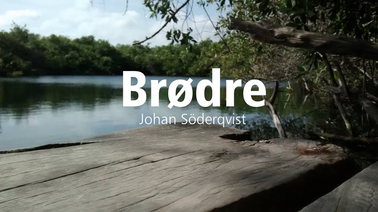 Br&oslash;dre - Johan S&ouml;derqvist