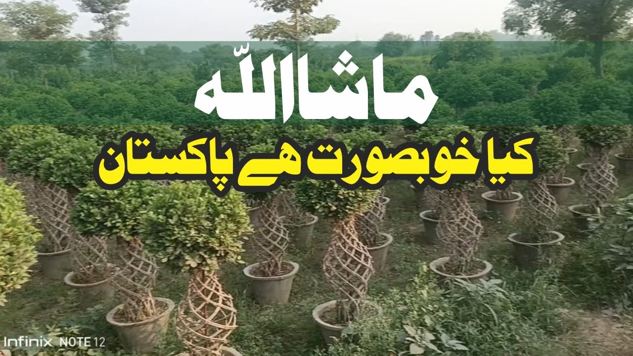 Full Green Pakistan