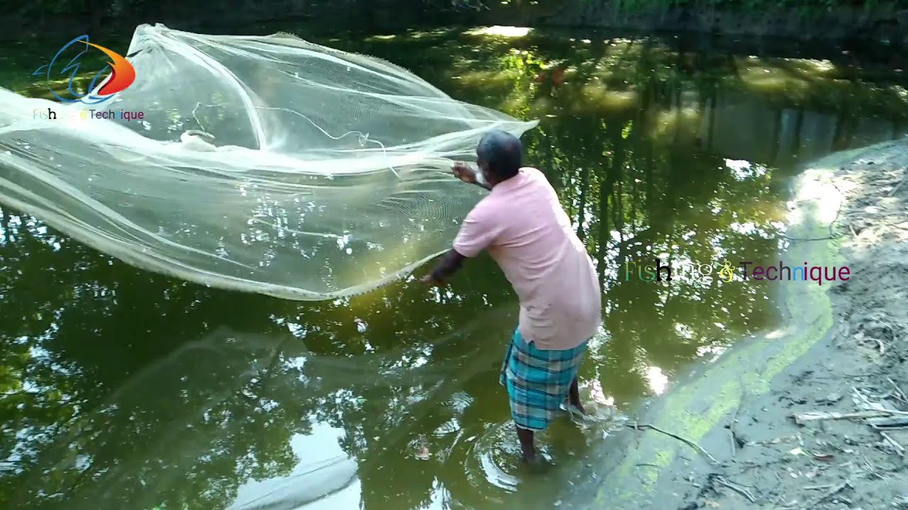 Most Satisfying Cast Net Fishing Video | Tora Jal diye Mach Dora