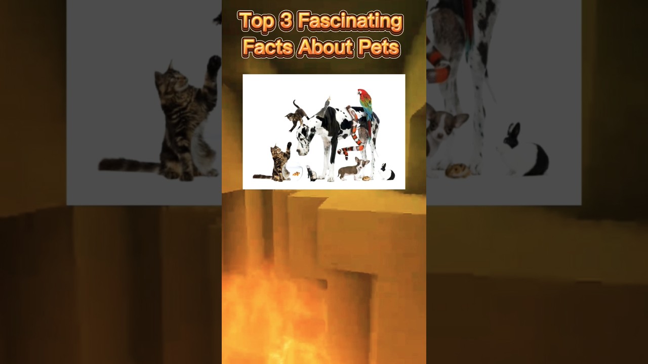 Top 3 Fascinating Facts About Pets 🐾🐱🐶 #PetFacts #AnimalLovers #FunPetFacts