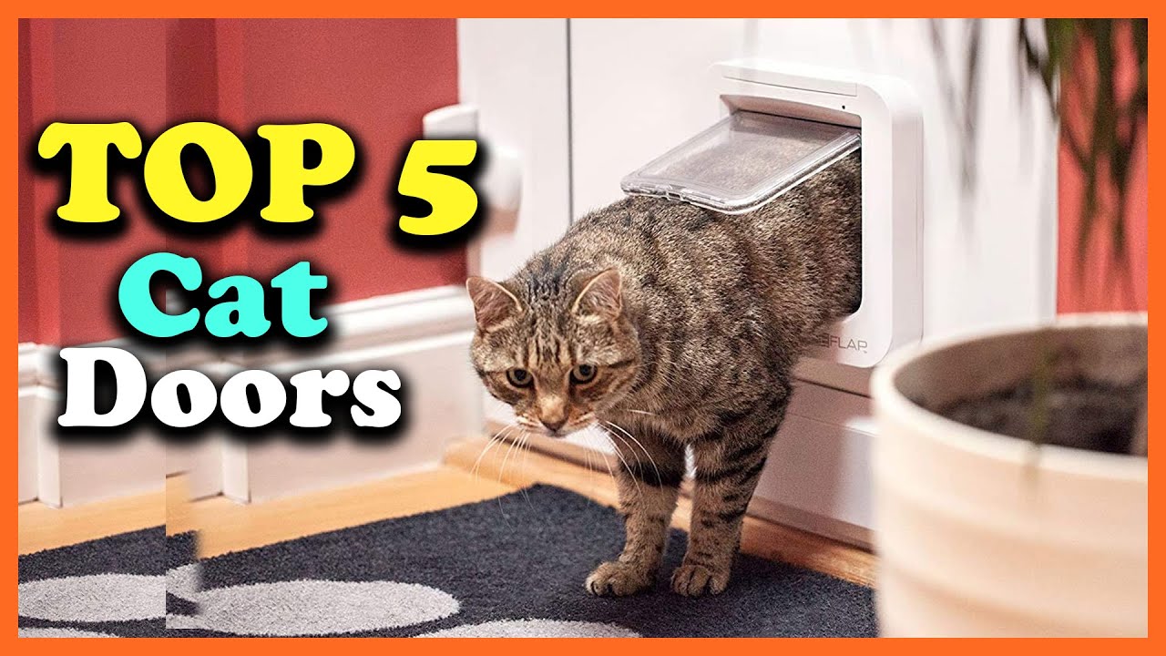✅Top 5 Best Cat Doors of 2025