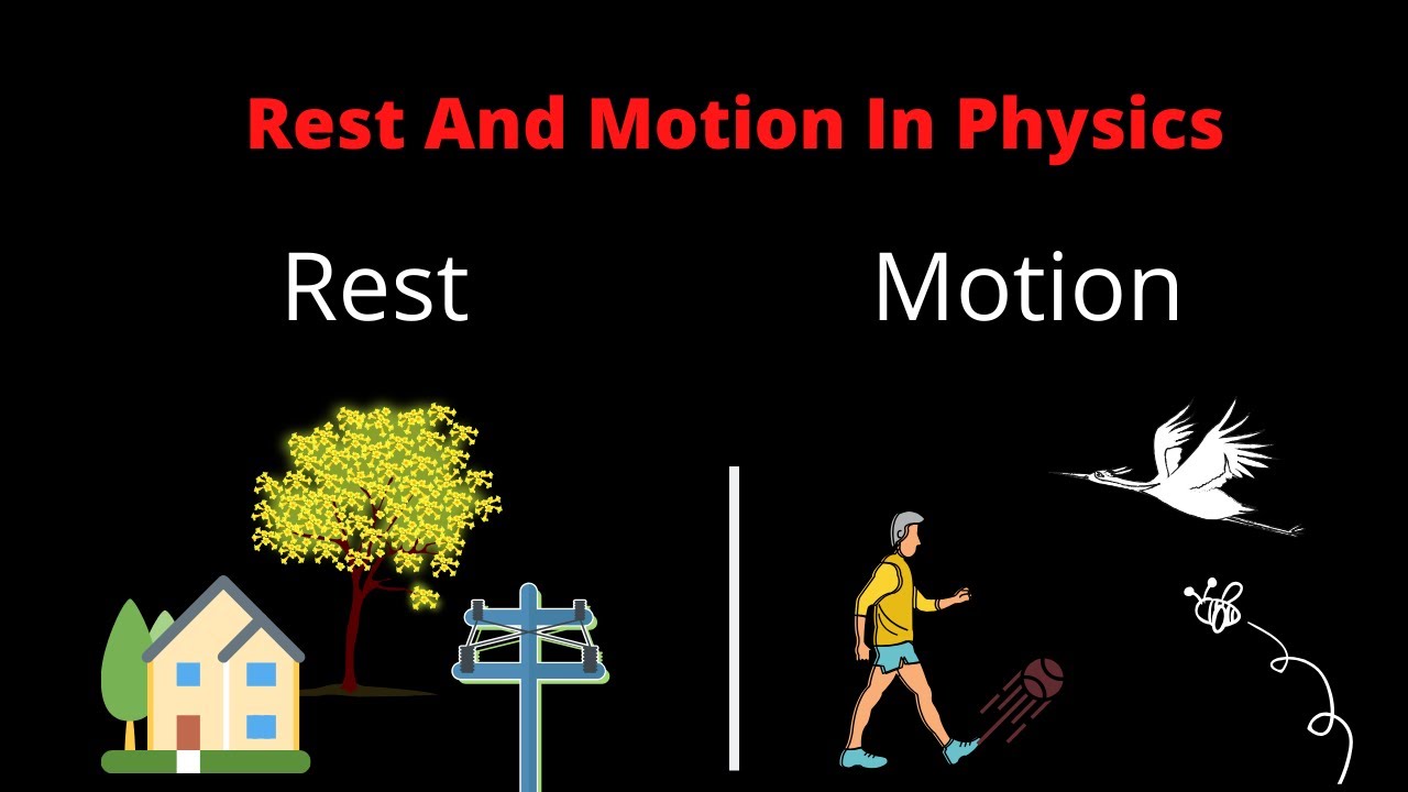 Concept of Rest and Motion In Physics with examples
