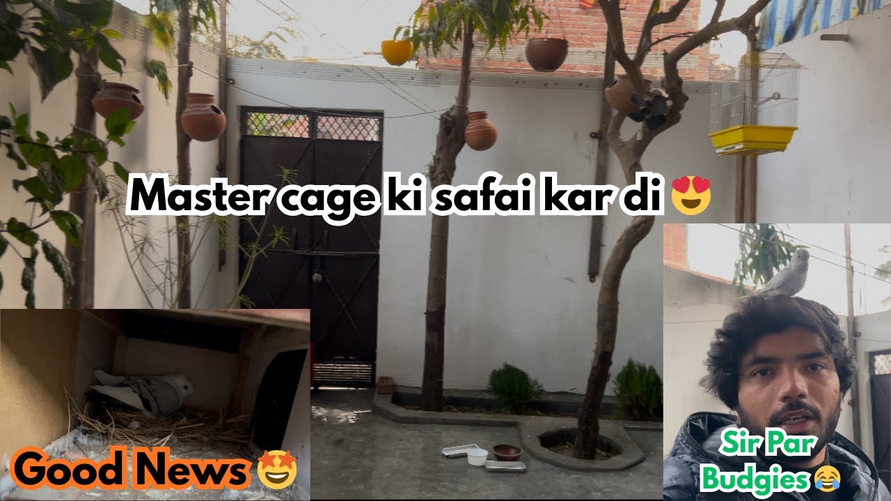 Finally good news dosto 😍 ! Nikhil dedha vlogs !
