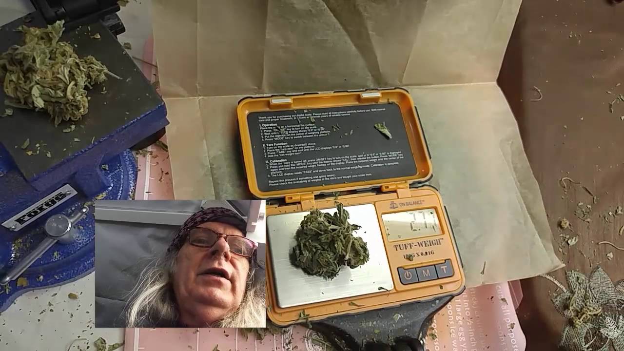 Prepressing Small Rosin Pucks - My super simple Pre Press method