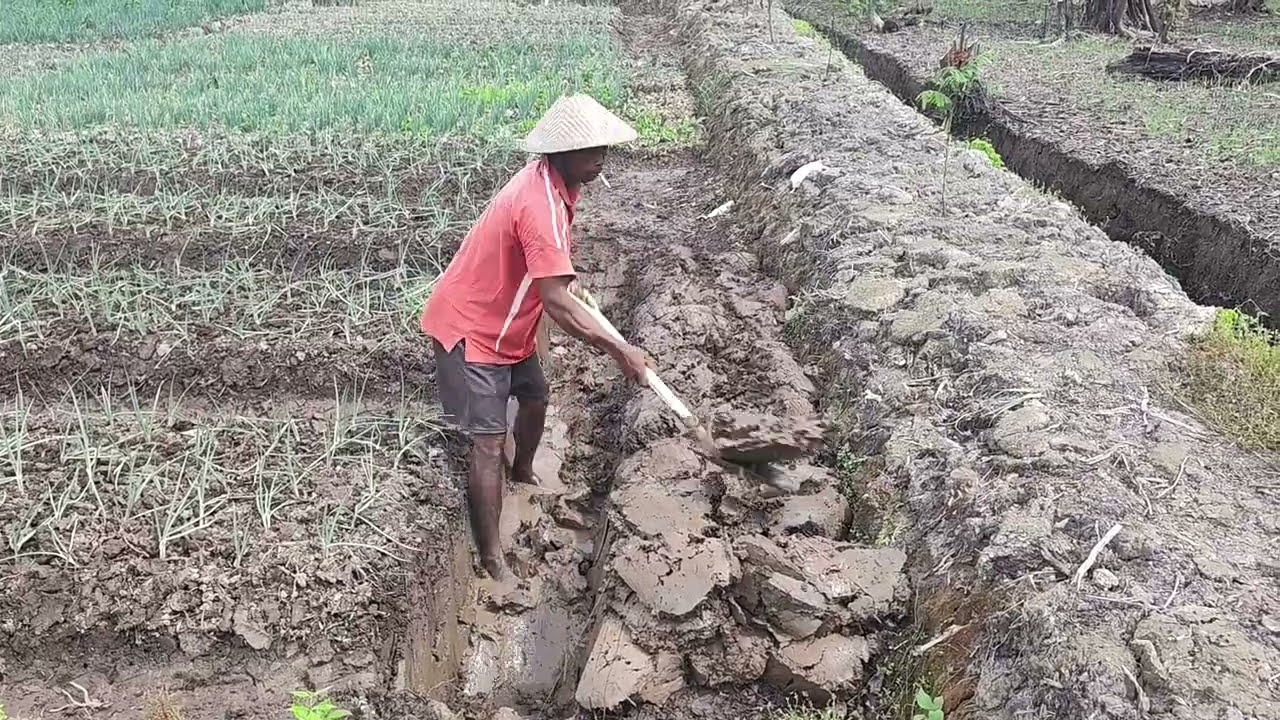 Proses pembuatan paret buat penampung air untuk penyiraman 