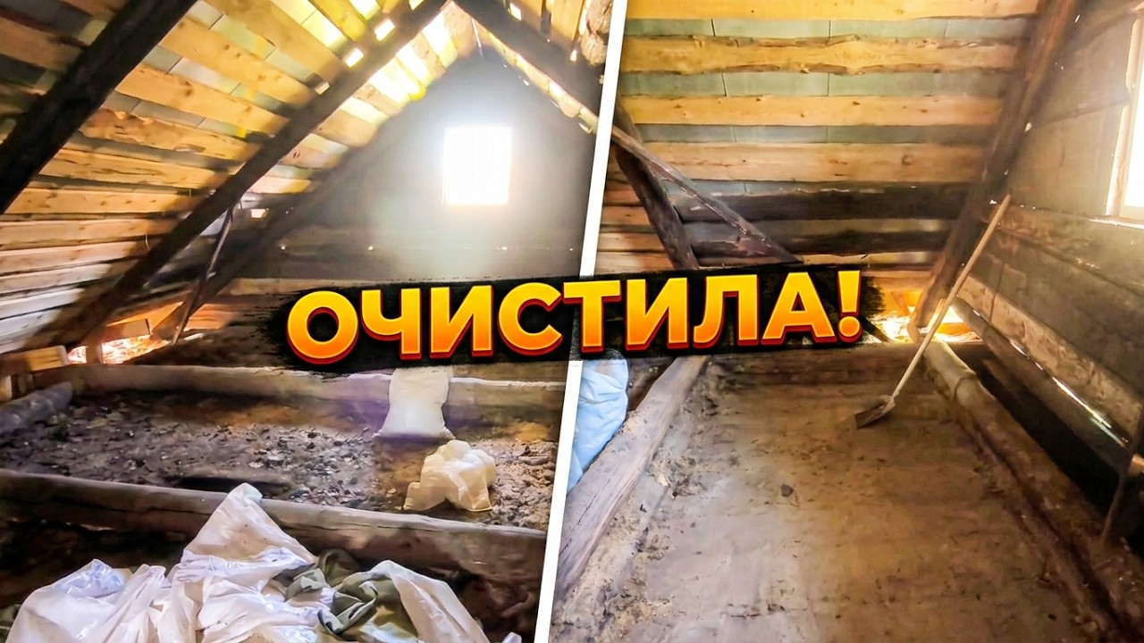 Очистила чердак! Сажаю цветочки.