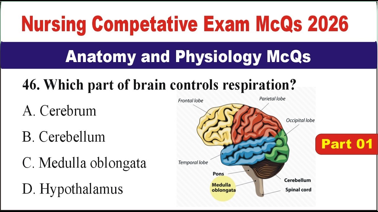 Nursing Competitive Exam 2026 | Anatomy & Physiology MCQs | Most Expected Questions with Answers