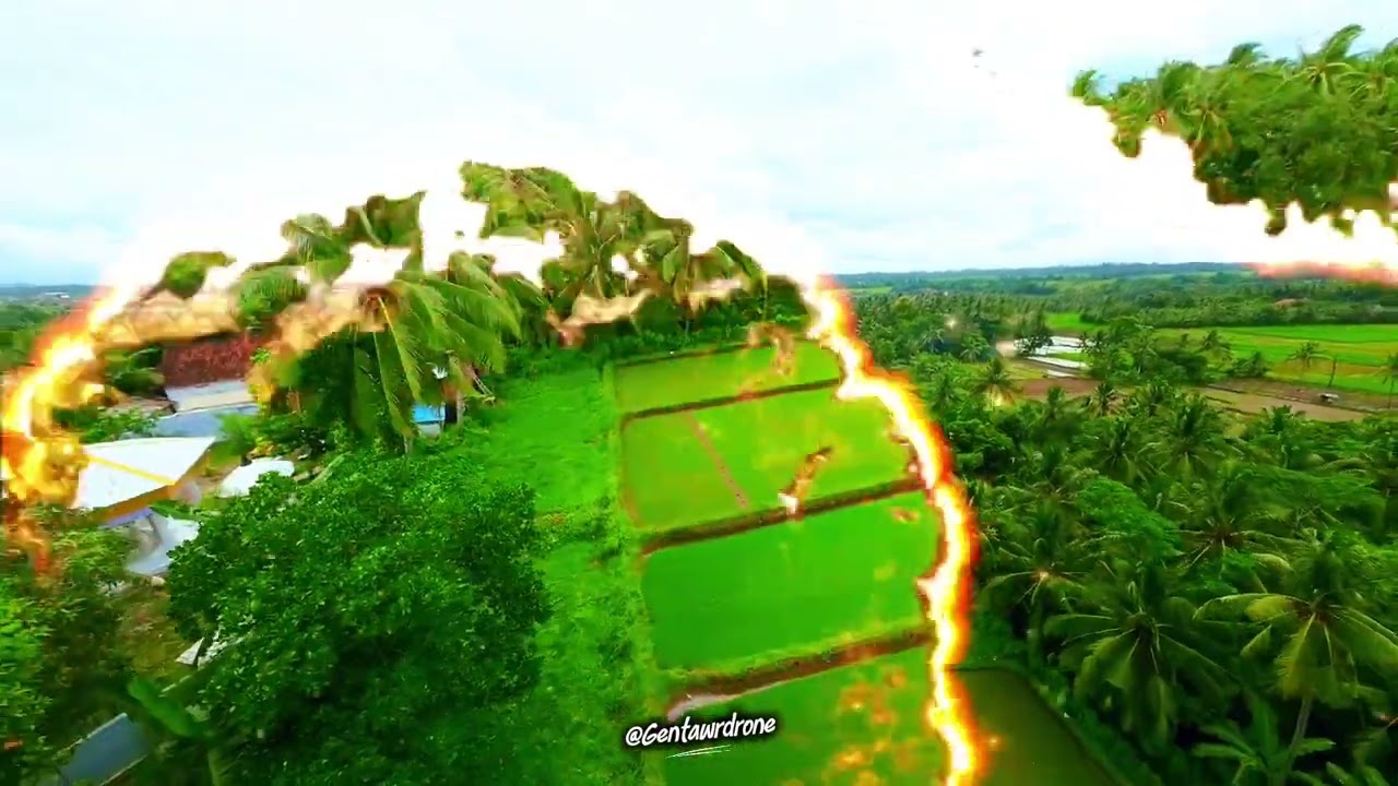 Petilasan Prabu Tawangalun di Desa Macan Putih Banyuwangi. #fypyoutube #beranda #drone #wisata 