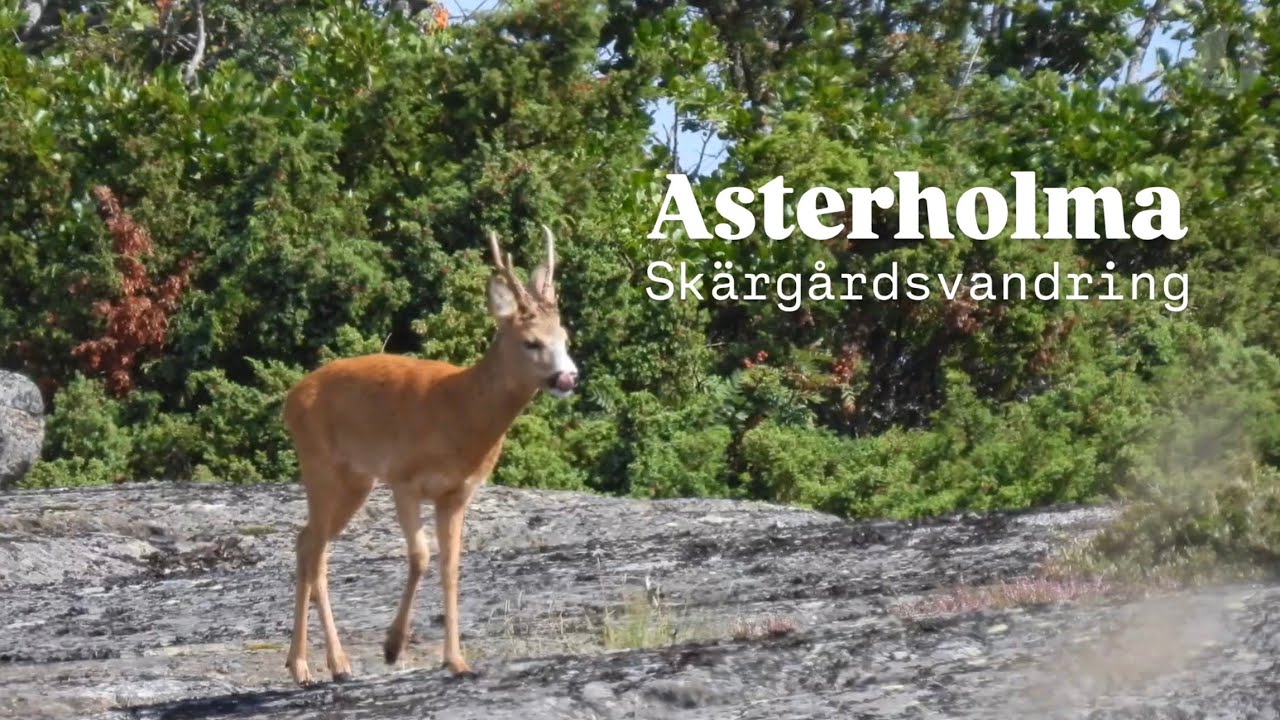 Vandra i skärgården