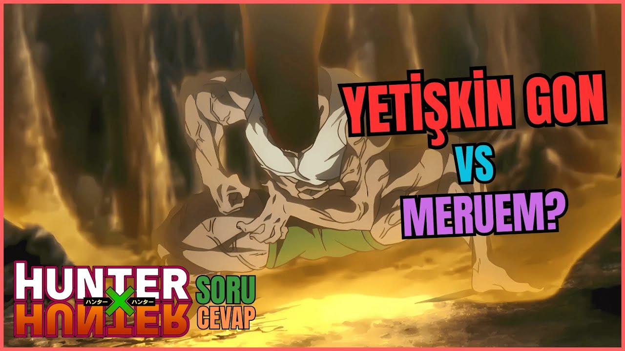 YETİŞKİN GON VS MERUEM? - Hunter x Hunter Soru-Cevap 2