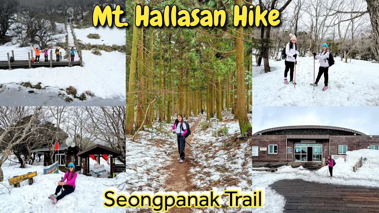 OUR MT. HALLASAN HIKE/JEJU SOUTH KOREA- March 11,2025💕☘️💕☘️💕☘️