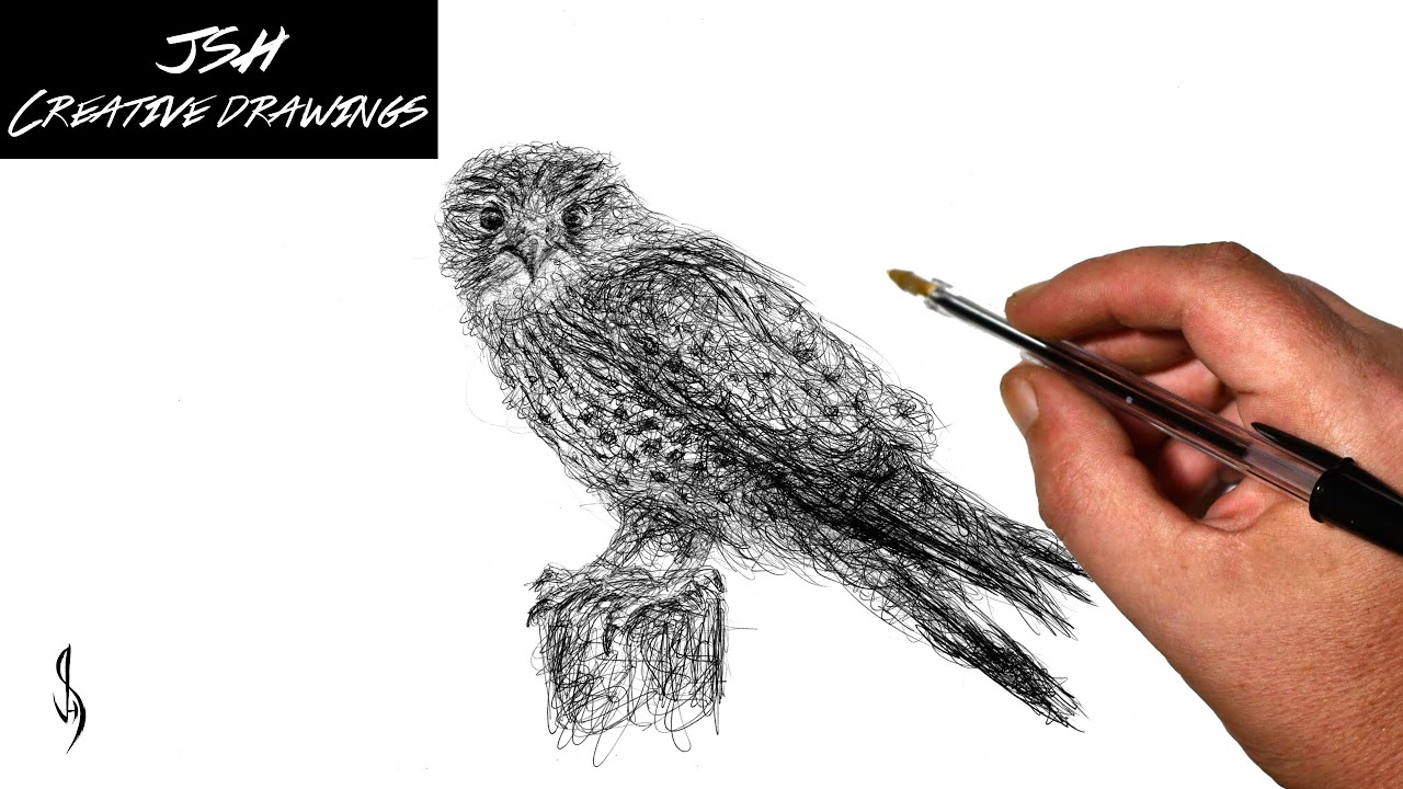 Kestrel Scribble Art Drawing with a Biro Pen