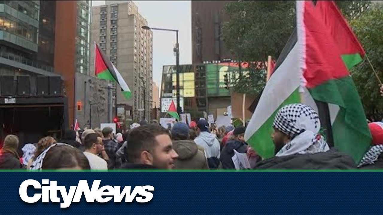 Palestinian-Montrealers rally downtown
