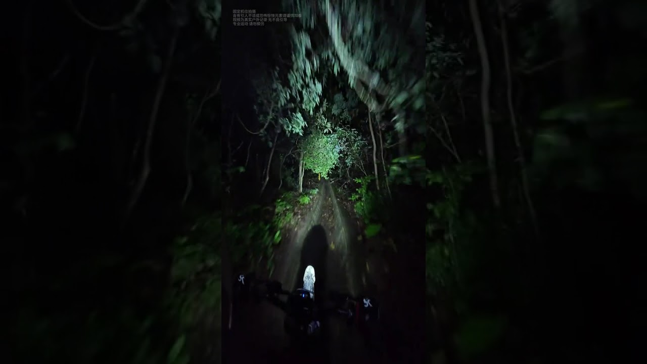 Rainy Night Banana Grove Adventure: Epic Wall Crash Encounter