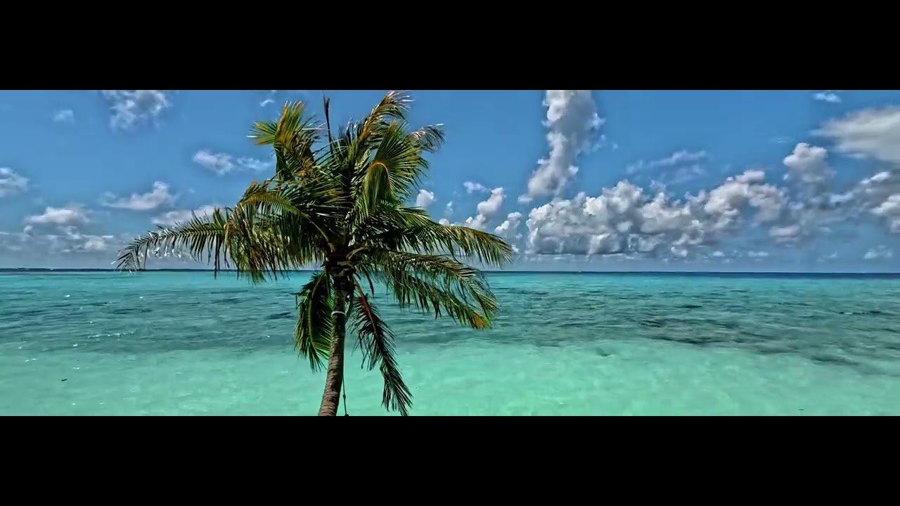 Papeete 4K