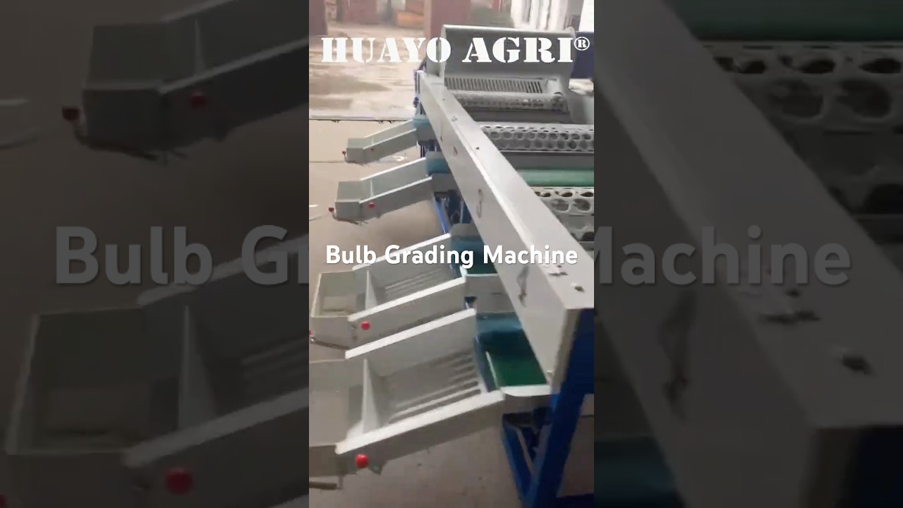 4 Size Garlic Bulb Grading Machine with Roller Holes