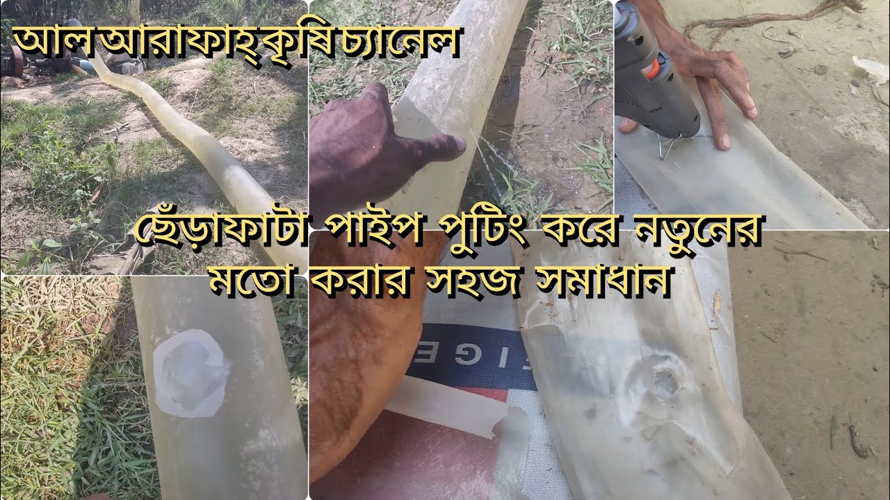 কৃষি প্রযুক্তি। সেচ কাজে ব্যবহৃত ছেঁড়াফাটা ফিতা পাইপ পুটিং করুন সহজেই।সেচ পাইপ নতুন করে ফেলুন।