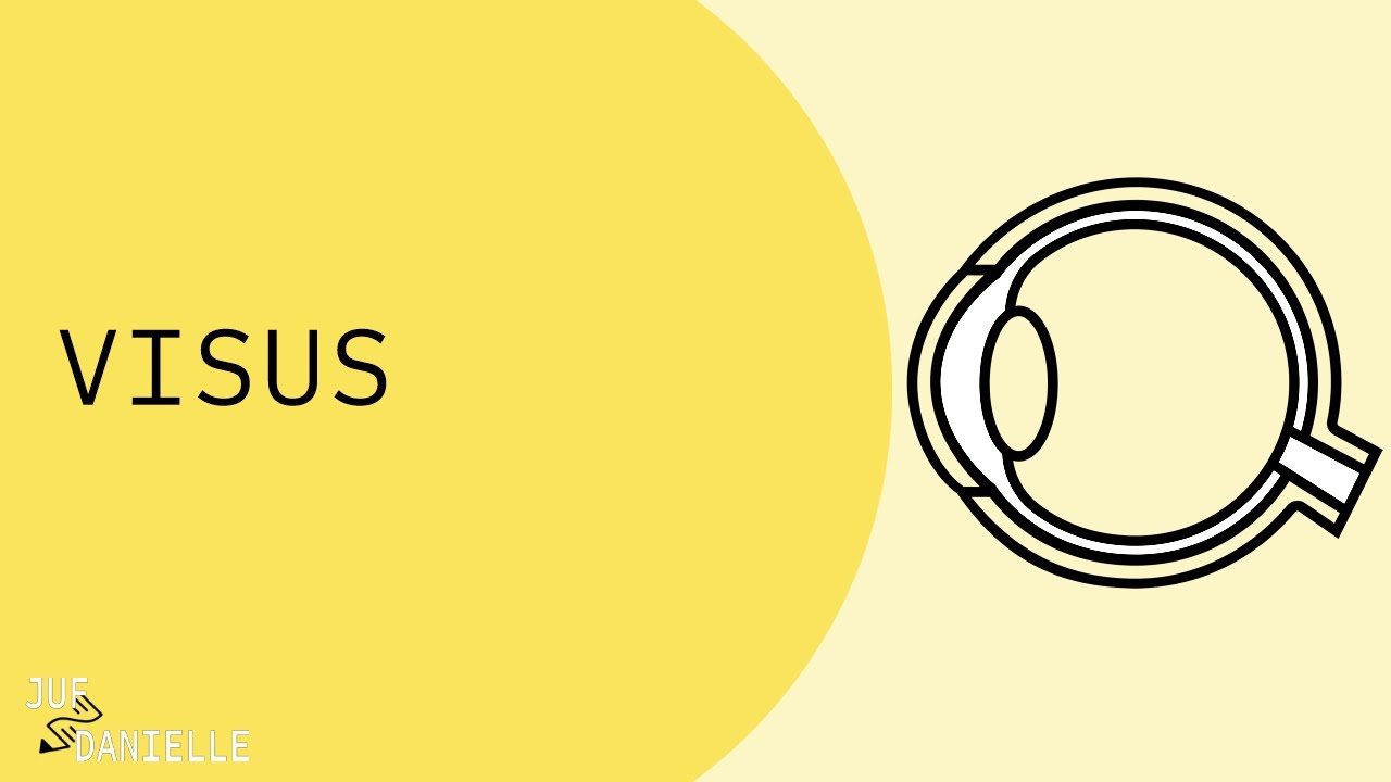 Visus: hoe werkt het oog?