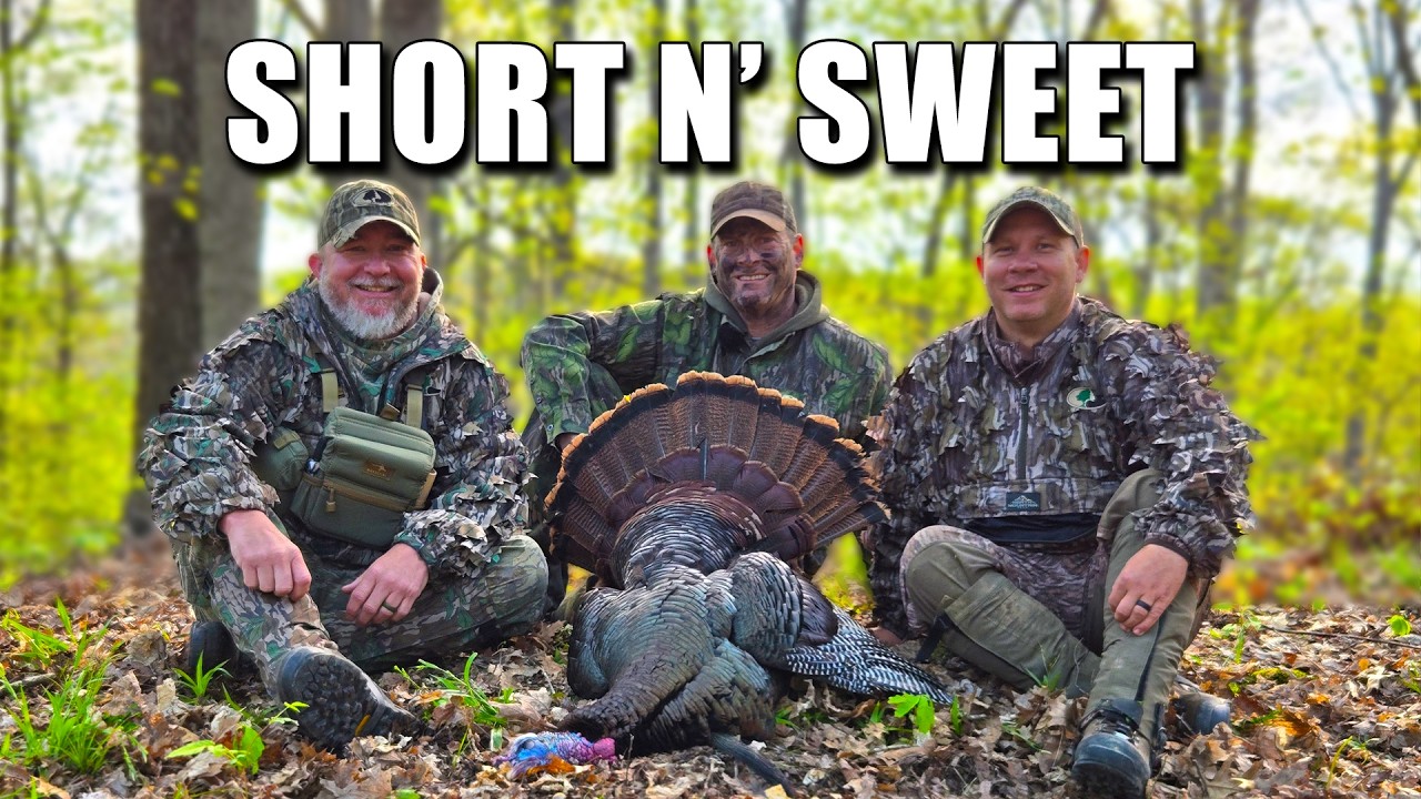Textbook Roost-and-Roast Turkey Hunt - Public Land Turkey Hunting