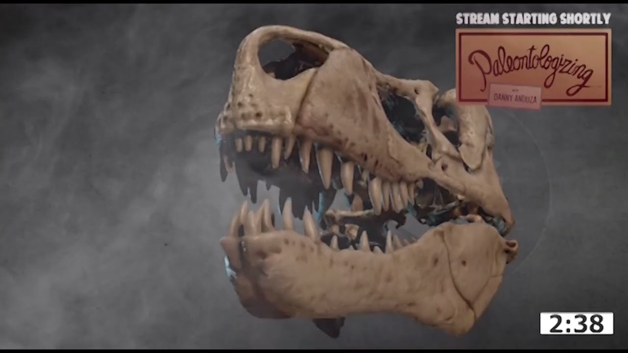 European horned dinosaurs?  Interviewing Prof. Susie Maidment on her new Ajkaceratops paper 📰💥