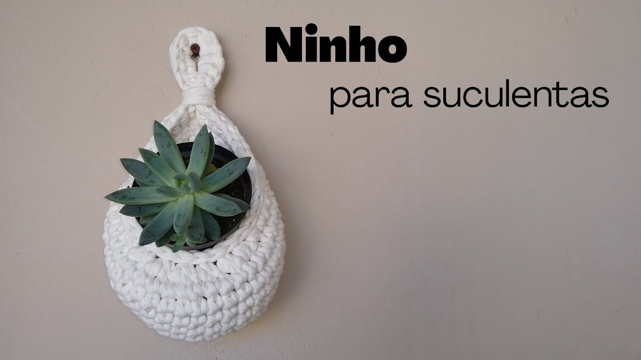 🌱 Ninho para suculentas 🌱