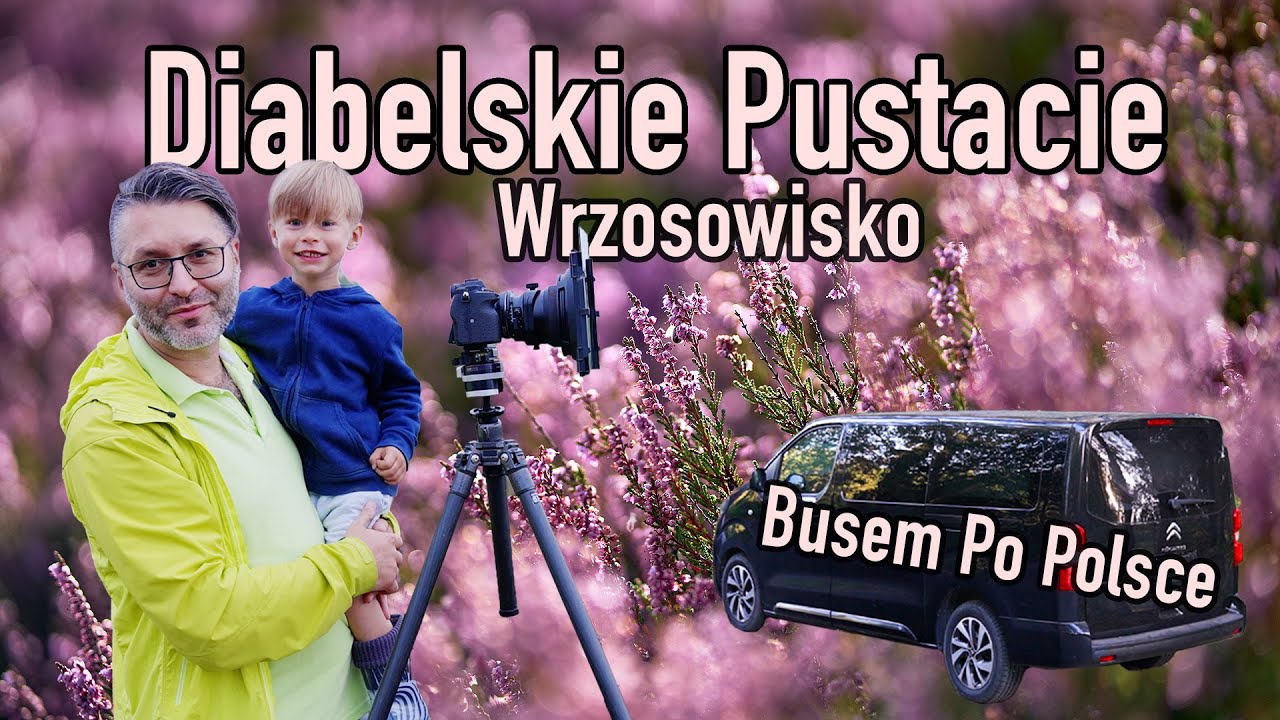 🚐 Busem po Polsce 📸 Diabelskie Pustacie 🍂 Fotografujemy Wrzosowisko