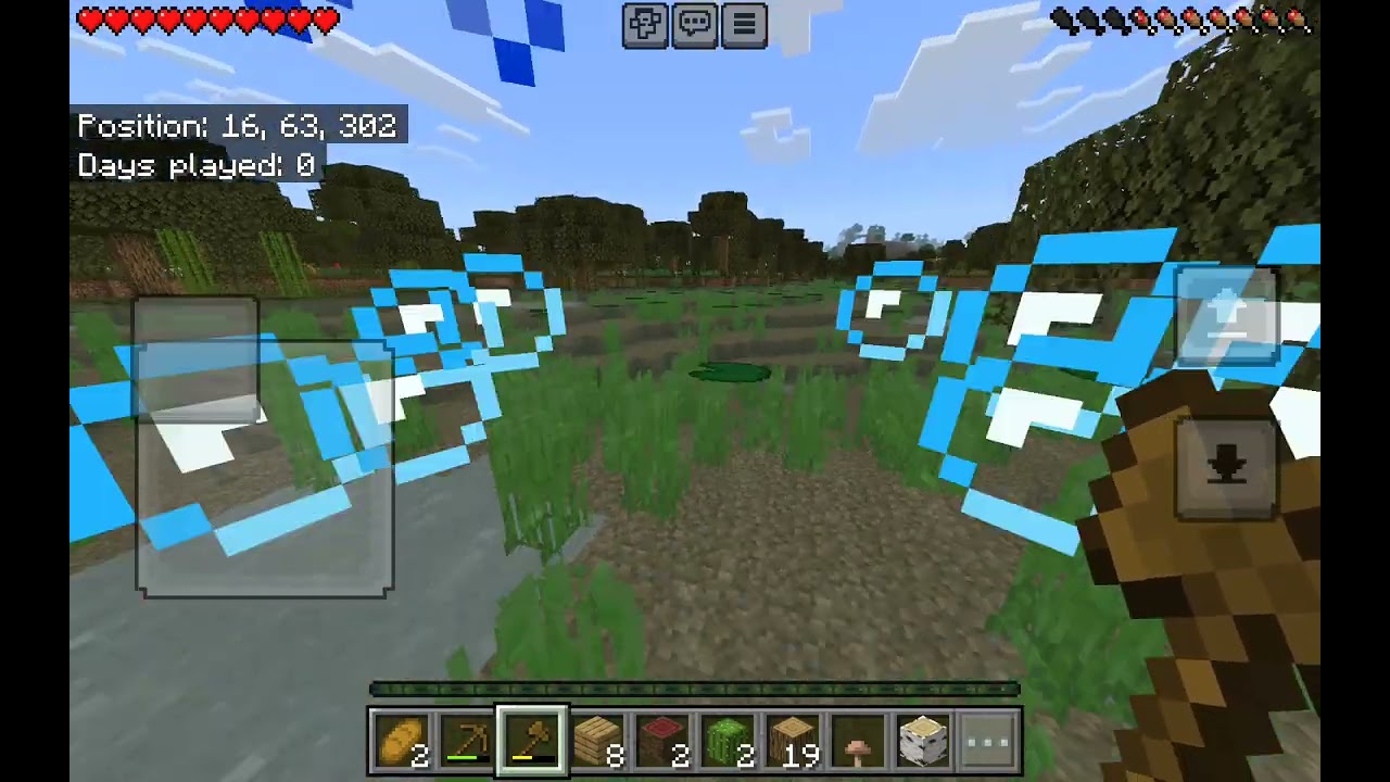 I began a brand new survival!