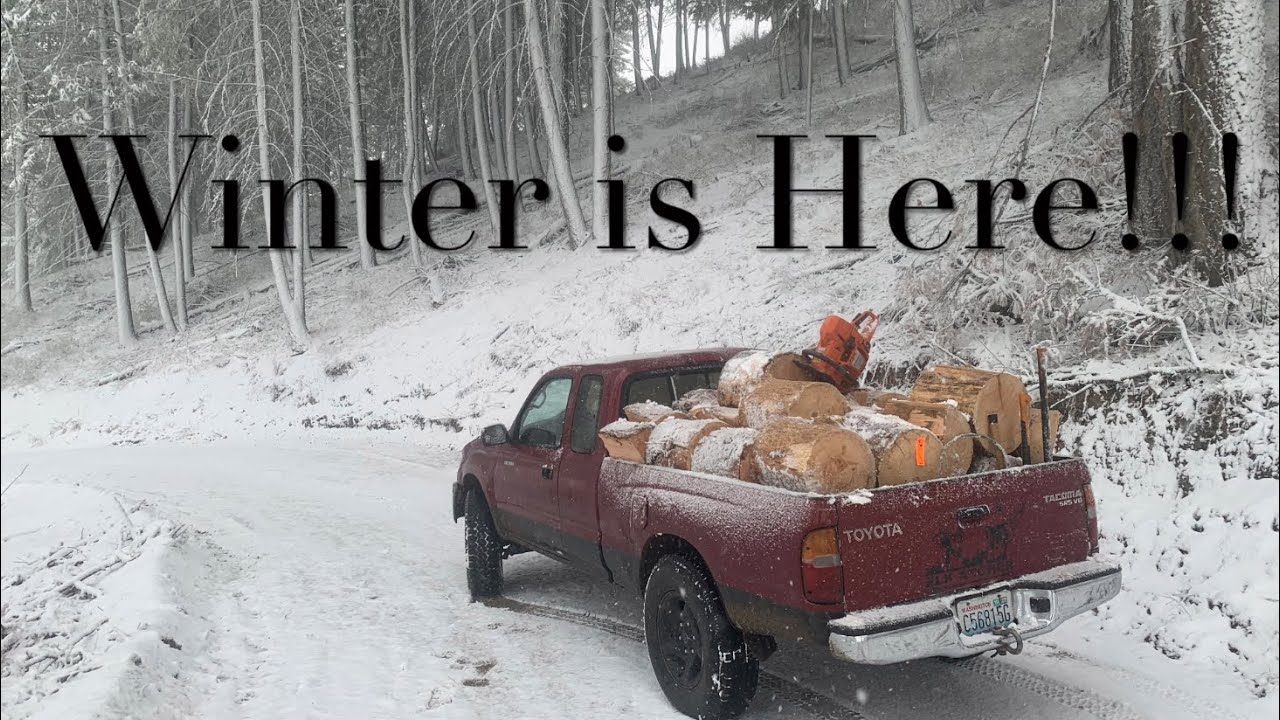 Cutting Firewood in The Snow!!! Winter is here!!!