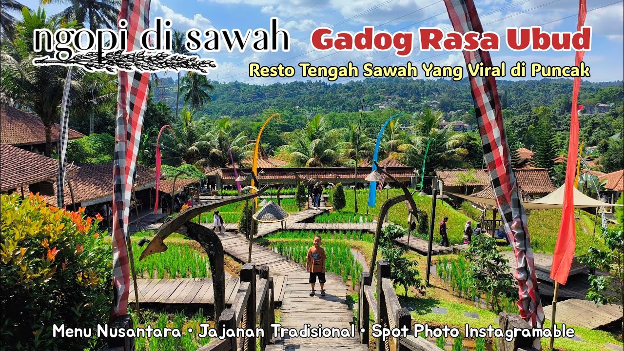 Ngopi Di Sawah || Resto nuansa pedesaan yang viral di Puncak