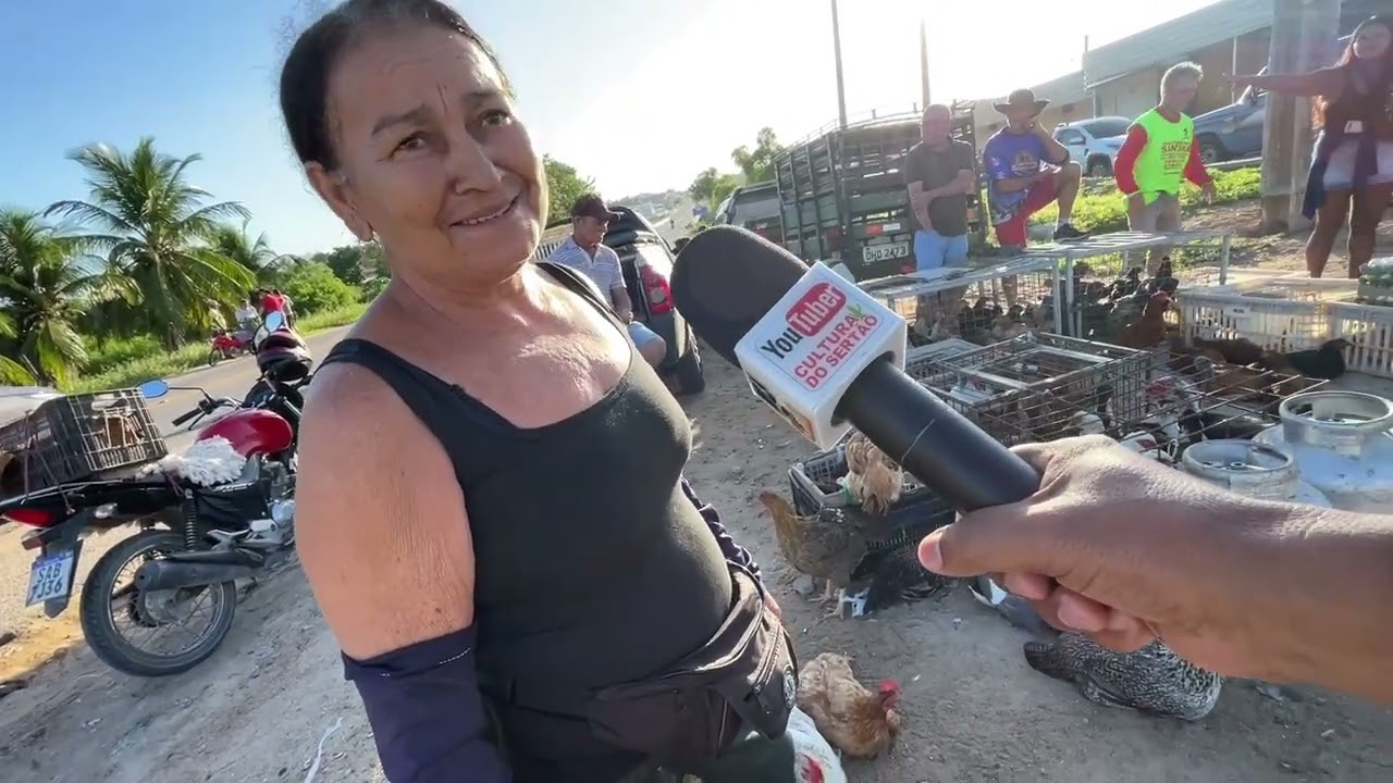 Feira de Galinha Capoeira em Dois Riachos - AL 11 - 03 - 2026 #nordeste 