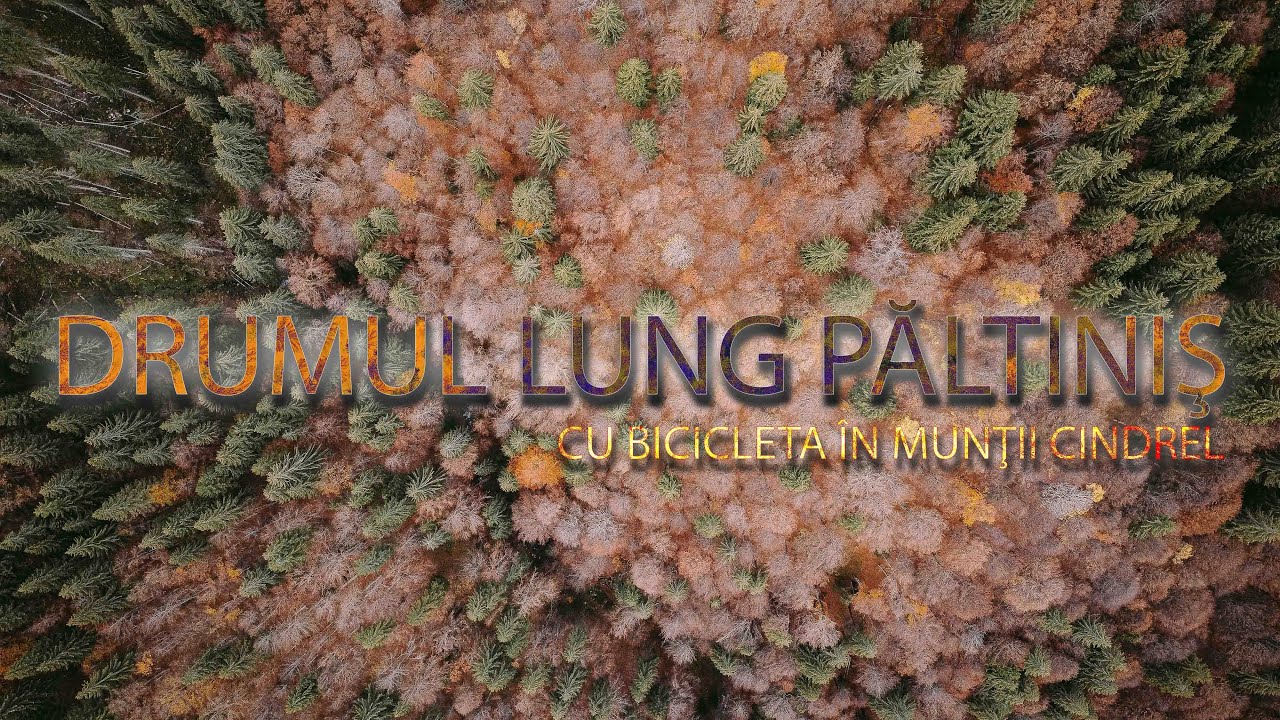 Păltiniş - Şaua Bătrâna - Râul Sadului. Cu #bicicleta  în #munţii Cindrel