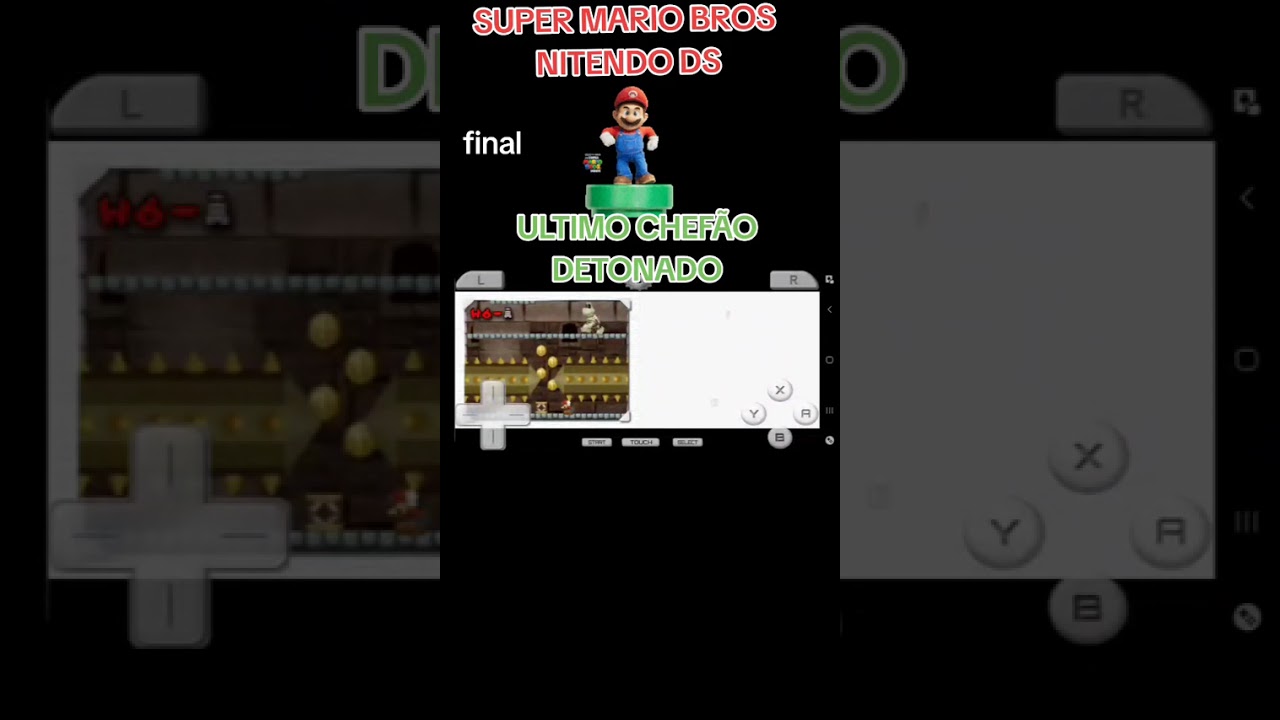 SUPER MARIO BROS NITENDO DS DETONADO FINAL COMPLETO 