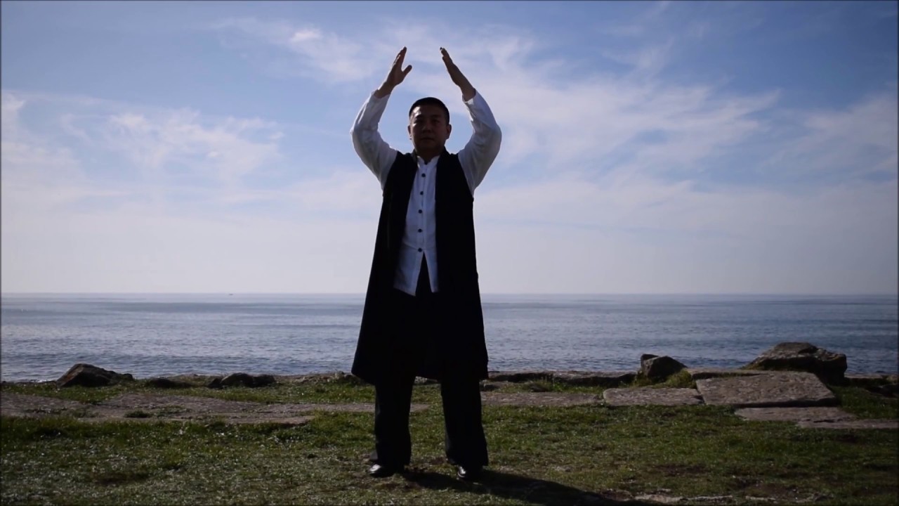 FU QUING QUAN FORMA DE 7  YANG TAICHI TRADICIONAL