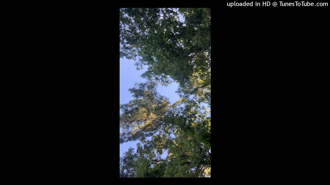 [FREE] Boofpaxkmooky x Cashcache x 1600j type beat