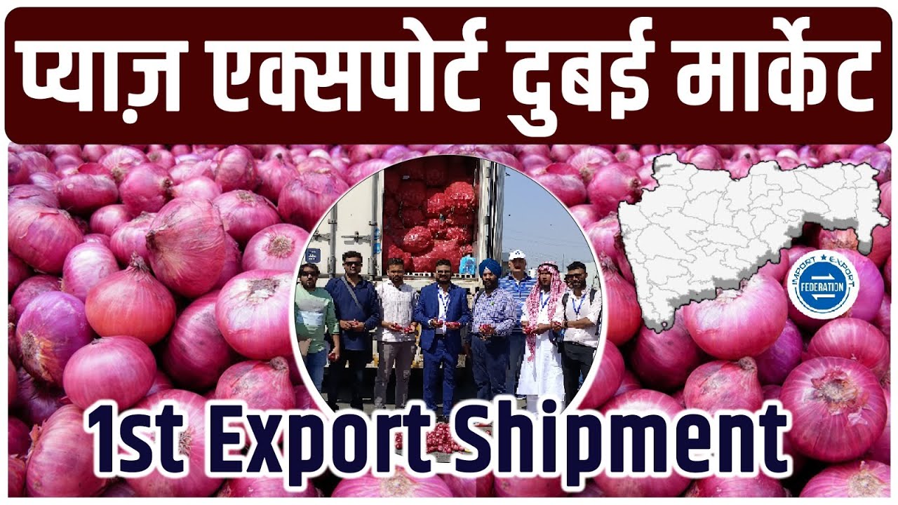 प्याज़ एक्सपोर्ट दुबई मार्केट How to start Onion Export? Start export business