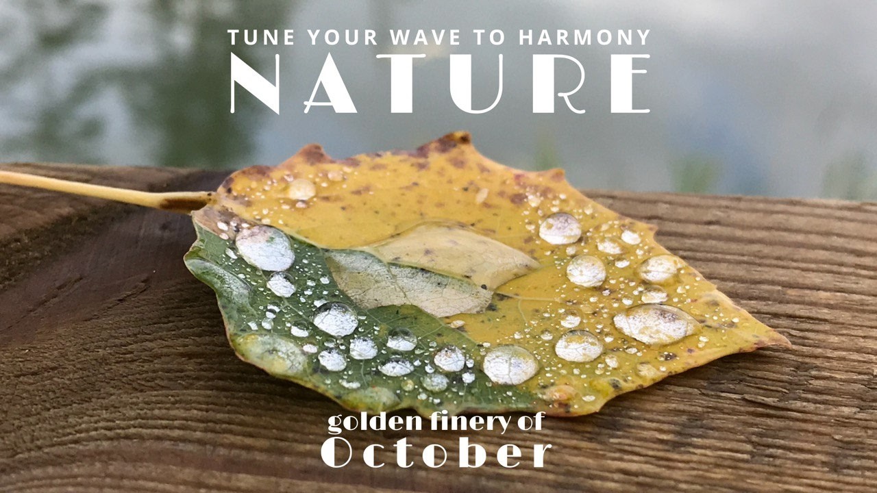 October's GOLDEN TREASURES Are Not What You Think - The REAL Story Revealed