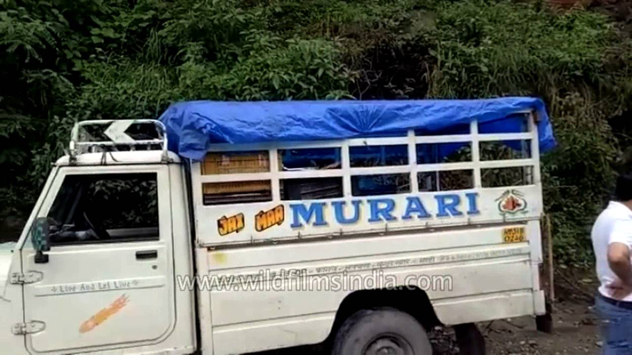 Heavy rain triggers landslide in Himachal Pradesh