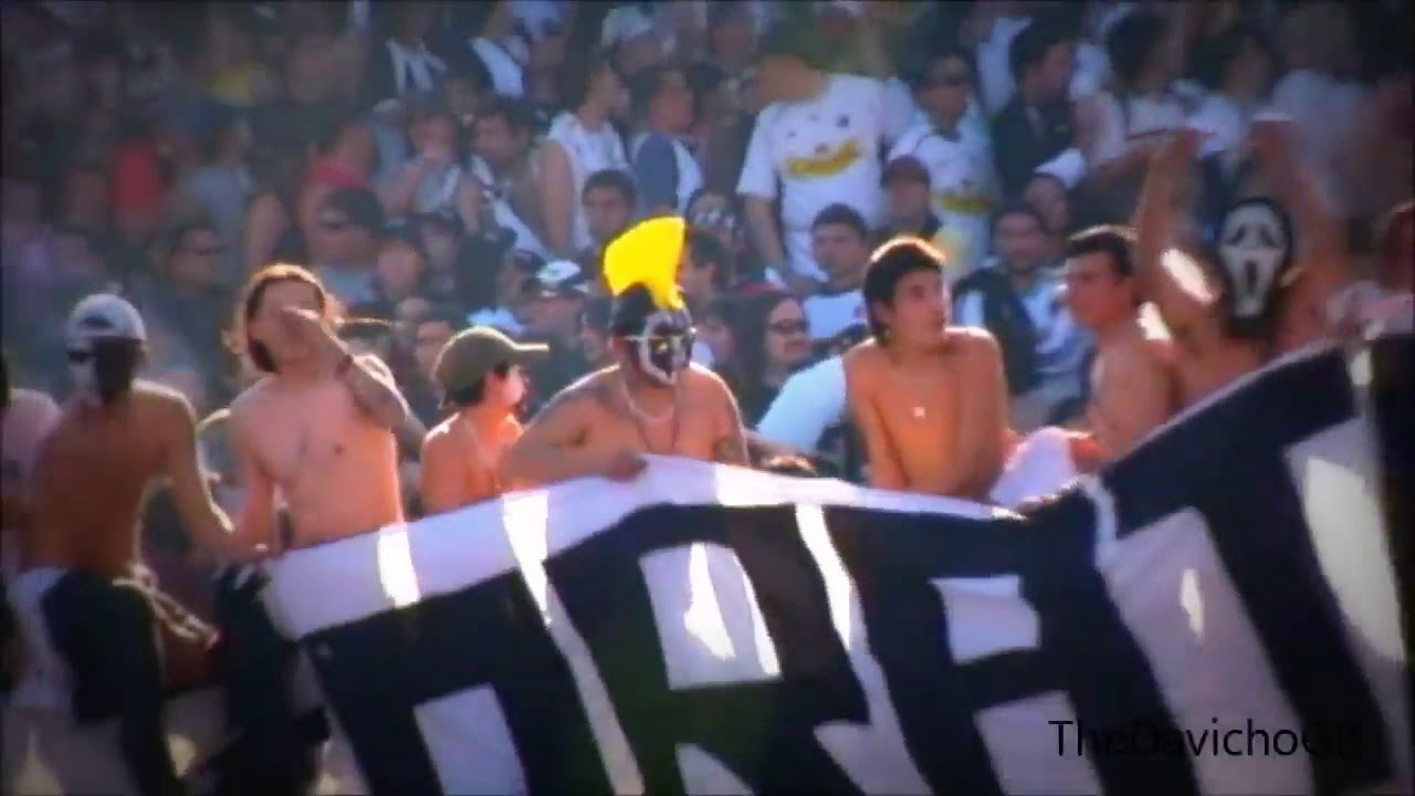 LA GARRA BLANCA INMORTAL - Fotokopia Orates