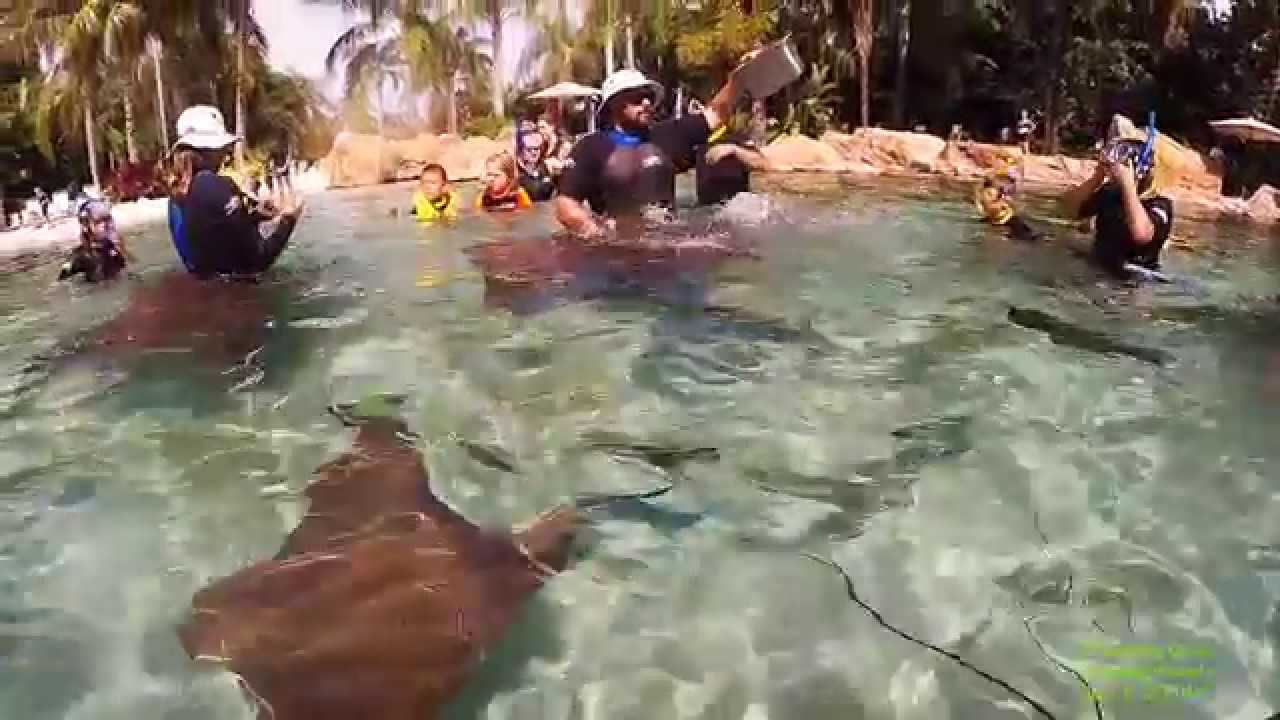 Snorkeling the Grand Reef at Discovery Cove in Orlando