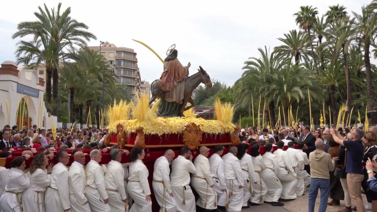 Costalero | Borriquita Elche Domingo de Ramos 2025 | Amargura de Lorca