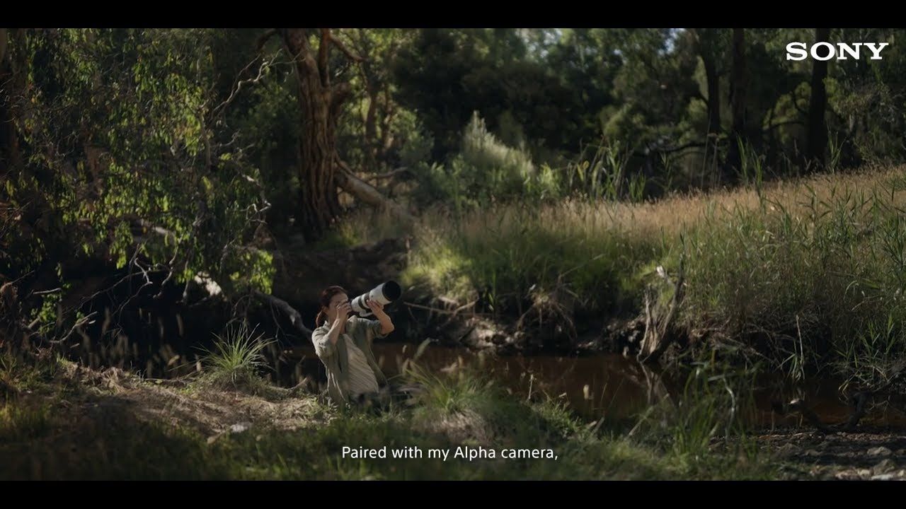 Created for α - Sony's Alpha Lenses | Capturing Wildlife as they are Meant to Be
