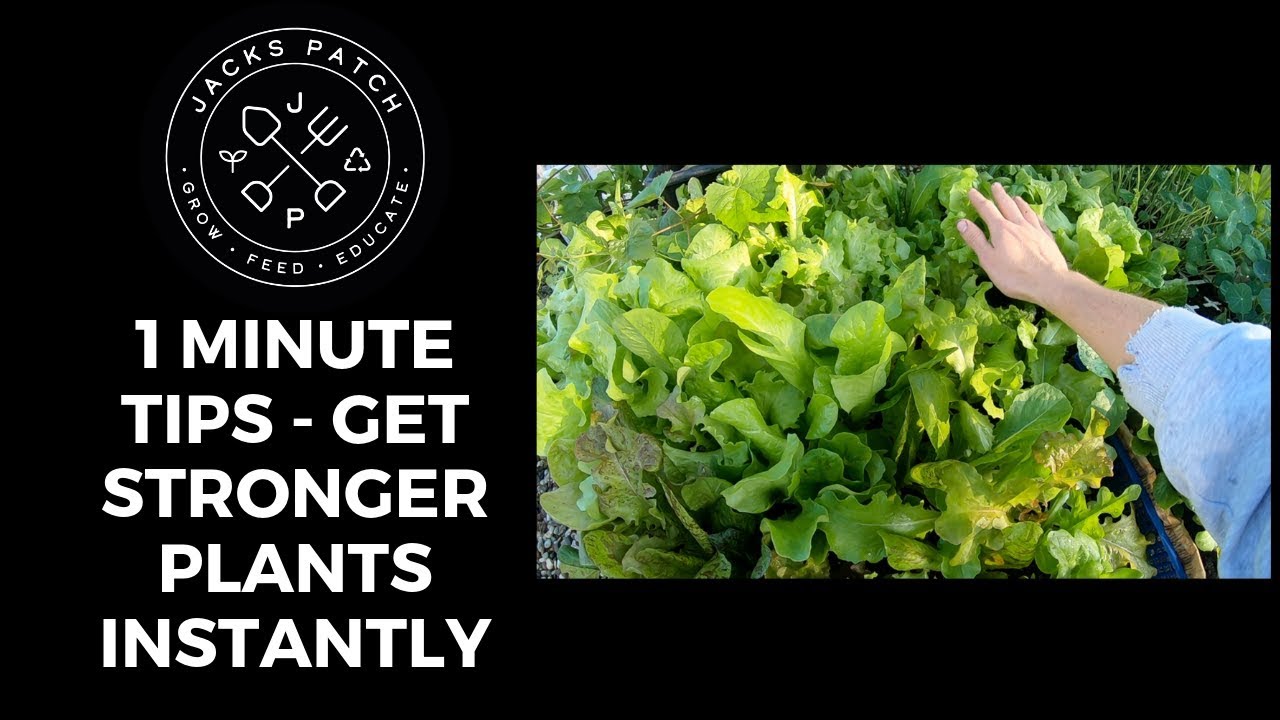 1 Minute Tips - Get Stronger Plants Instantly!