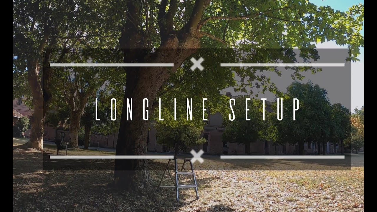 Longline setup (PRIMITIVE system)