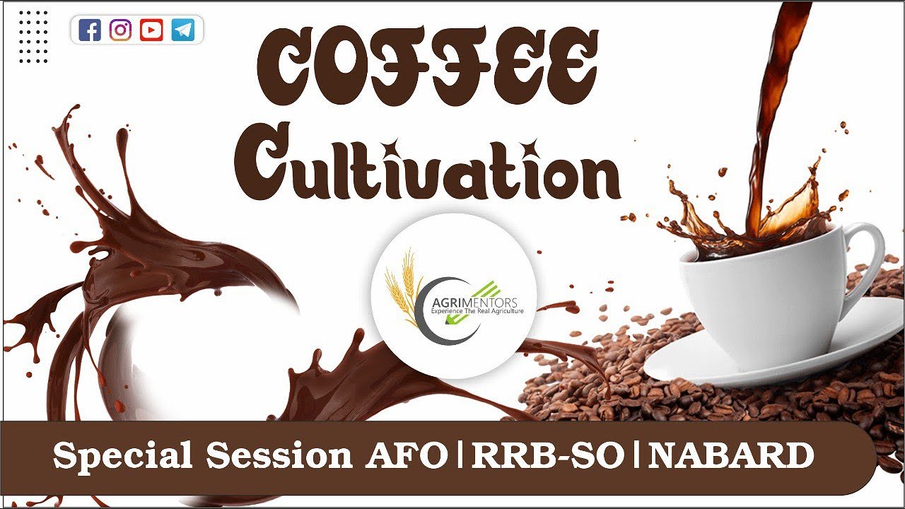 Coffee Cultivation || Special Session AFO || RRB-SO || NABARD || Plantation Crop | World Coffee Day