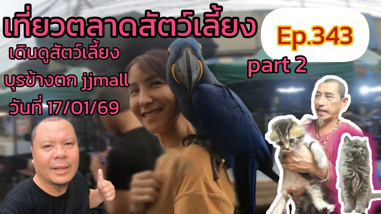 เที่ยวตลาดสัตว์เลี้ยง Ep.343(part 2)🐟🦭 |บูธข้างตึกเจเจมอลล์| #ตลาดจตุจักร #Chatuchakmarket #fypシ 