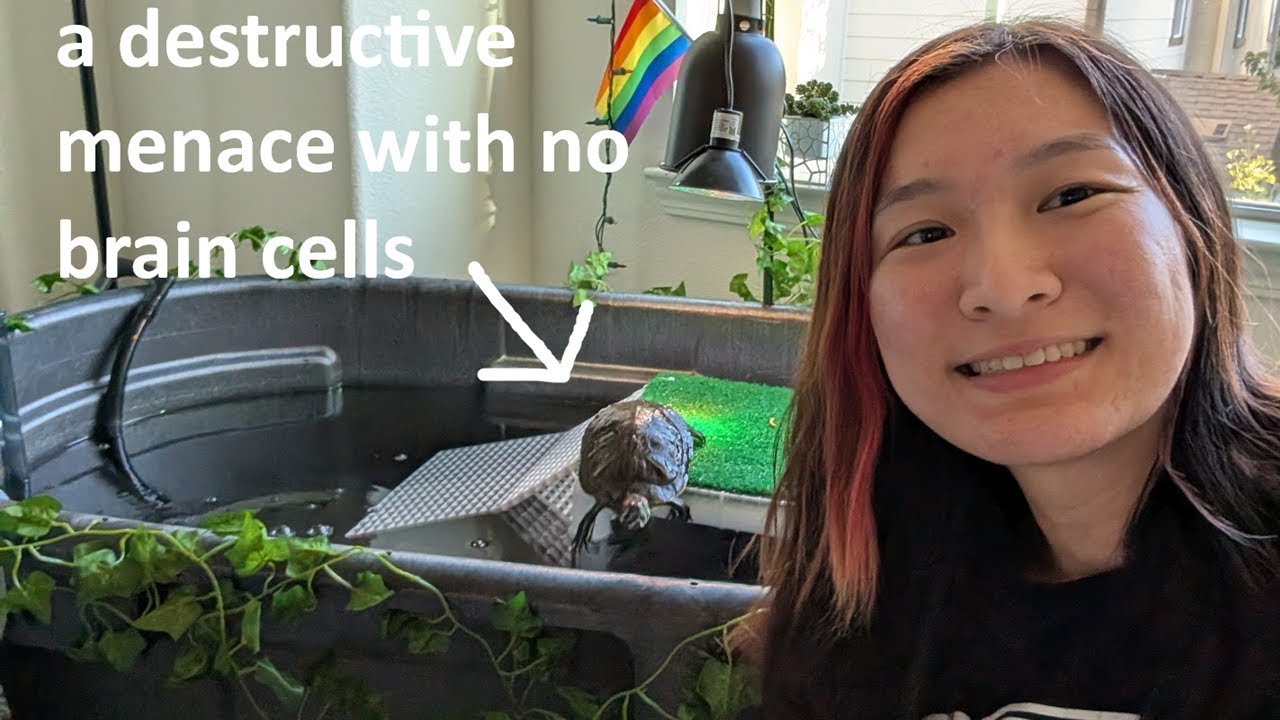 My 100G Turtle Stock Tank Setup!