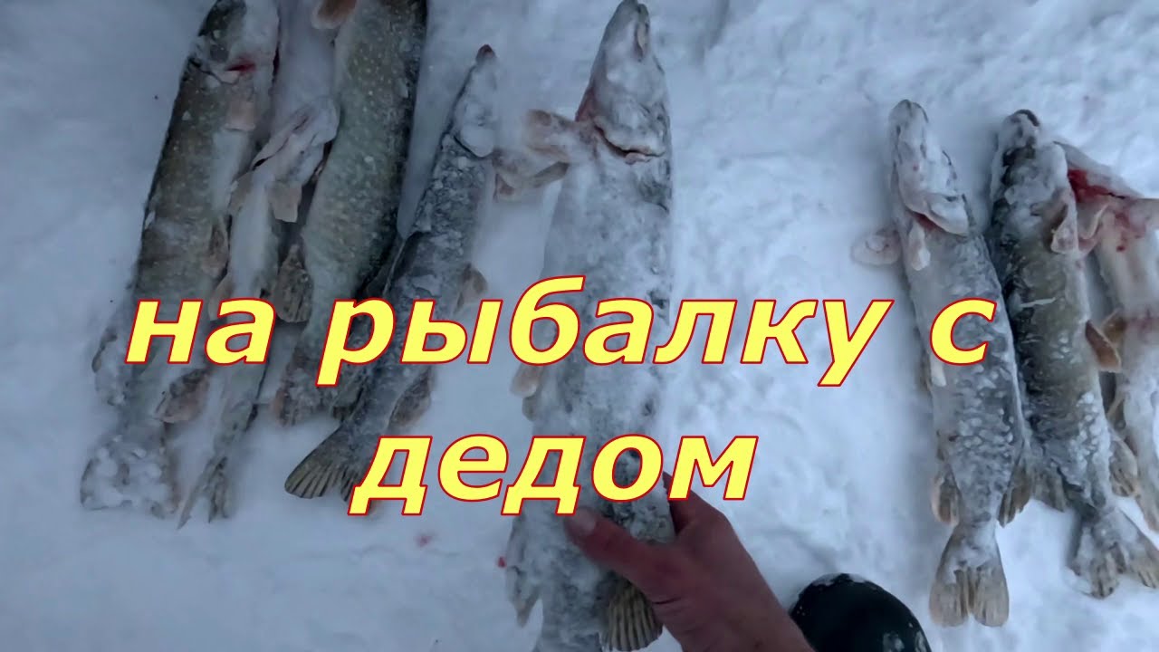 Рыбалка с дедом на Оби.