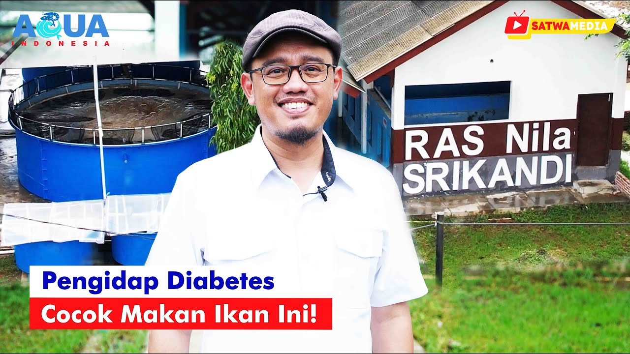 Budidaya Nila Salin Sistem RAS Hasilkan Pangan Fungsional