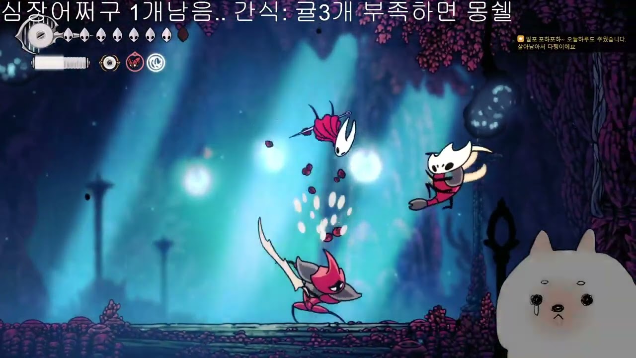 할로우 나이트: 실크송[찐찐찐막] 실크송 어케하는건데에ㅔ;;; - 양송이와의 한판